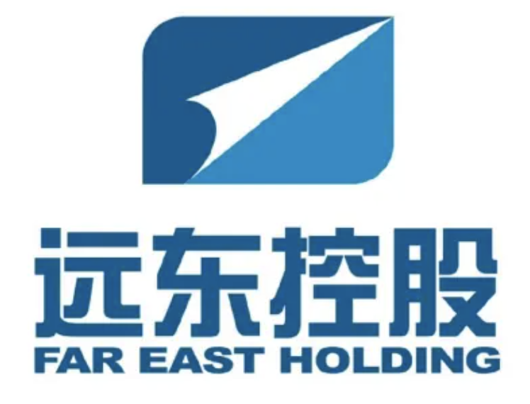 Far East Holding logo